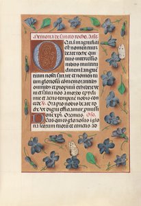 Hodiny královny Isabely Katolické, královny Španělska: Fol. 182r, c. 1500. od Master of the First Prayerbook of Maximillian