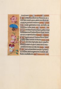 Hodiny královny Isabely Katolické, královny Španělska: Fol. 206v, c. 1500. od Master of the First Prayerbook of Maximillian