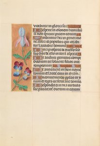 Hodiny královny Isabely Katolické, královny Španělska: Fol. 207v, c. 1500. od Master of the First Prayerbook of Maximillian