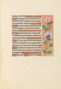 Hodiny královny Isabely Katolické, královny Španělska: Fol. 208r, c. 1500. od Master of the First Prayerbook of Maximillian