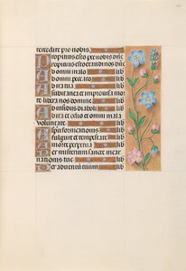 Hodiny královny Isabely Katolické, královny Španělska: Fol. 213r, c. 1500. od Master of the First Prayerbook of Maximillian