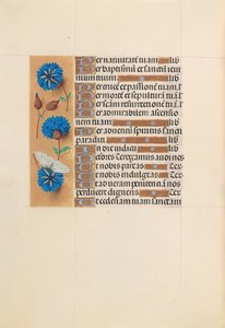 Hodiny královny Isabely Katolické, královny Španělska: Fol. 213v, c. 1500. od Master of the First Prayerbook of Maximillian