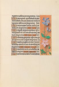 Hodiny královny Isabely Katolické, královny Španělska: Fol. 214r, c. 1500. od Master of the First Prayerbook of Maximillian
