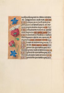 Hodiny královny Isabely Katolické, královny Španělska: Fol. 214v, c. 1500. od Master of the First Prayerbook of Maximillian