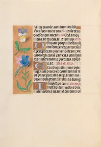Hodiny královny Isabely Katolické, královny Španělska: Fol. 216v, c. 1500. od Master of the First Prayerbook of Maximillian