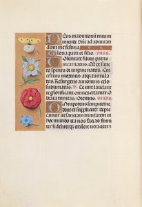 Hodiny královny Isabely Katolické, královny Španělska: Fol. 21v, c. 1500. od Master of the First Prayerbook of Maximillian
