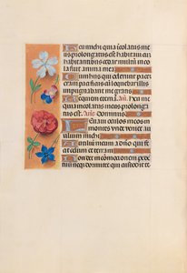 Hodiny královny Isabely Katolické, královny Španělska: Fol. 221v, c. 1500. od Master of the First Prayerbook of Maximillian