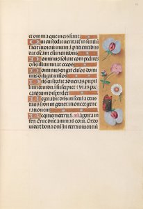 Hodiny královny Isabely Katolické, královny Španělska: Fol. 225r, c. 1500. od Master of the First Prayerbook of Maximillian