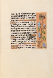 Hodiny královny Isabely Katolické, královny Španělska: Fol. 227r, c. 1500. od Master of the First Prayerbook of Maximillian