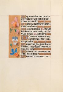Hodiny královny Isabely Katolické, královny Španělska: Fol. 228v, c. 1500. od Master of the First Prayerbook of Maximillian