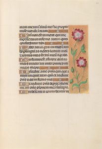 Hodiny královny Isabely Katolické, královny Španělska: Fol. 229r, c. 1500. od Master of the First Prayerbook of Maximillian