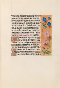 Hodiny španělské královny Isabely Katolické:  Fol. 233r od Master of the First Prayerbook of Maximillian