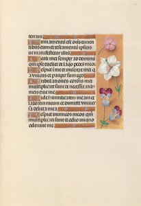 Hodiny královny Isabely Katolické, královny Španělska: Fol. 235r, c. 1500. od Master of the First Prayerbook of Maximillian
