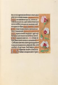 Hodiny královny Isabely Katolické, královny Španělska: Fol. 237r, c. 1500. od Master of the First Prayerbook of Maximillian