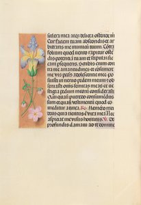 Hodiny královny Isabely Katolické, královny Španělska: Fol. 237v, c. 1500. od Master of the First Prayerbook of Maximillian