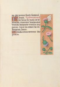 Hodiny královny Isabely Katolické, královny Španělska: Fol. 23r, c. 1500. od Master of the First Prayerbook of Maximillian