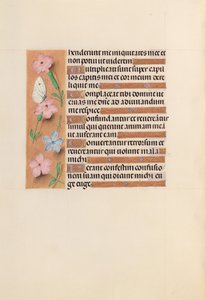 Hodiny královny Isabely Katolické, královny Španělska: Fol. 240V, c. 1500. od Master of the First Prayerbook of Maximillian