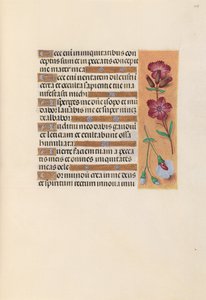 Hodiny královny Isabely Katolické, královny Španělska: Fol. 247r, c. 1500. od Master of the First Prayerbook of Maximillian