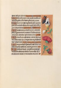 Hodiny španělské královny Isabely Katolické:  Fol. 249r od Master of the First Prayerbook of Maximillian