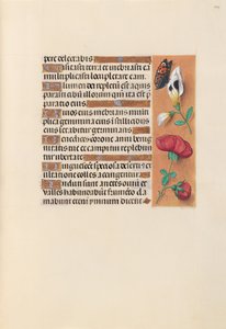 Hodiny královny Isabely Katolické, královny Španělska: Fol. 249r, c. 1500. od Master of the First Prayerbook of Maximillian