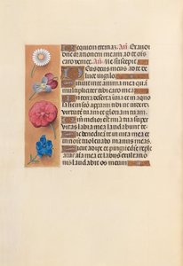 Hodiny královny Isabely Katolické, královny Španělska: Fol. 249v, c. 1500. od Master of the First Prayerbook of Maximillian