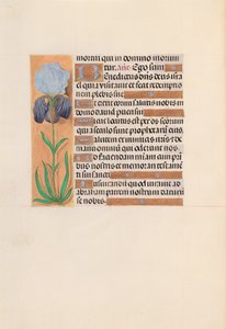Hodiny královny Isabely Katolické, královny Španělska: Fol. 254v, c. 1500. od Master of the First Prayerbook of Maximillian