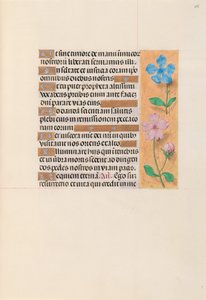 Hodiny královny Isabely Katolické, královny Španělska: Fol. 255r, c. 1500. od Master of the First Prayerbook of Maximillian