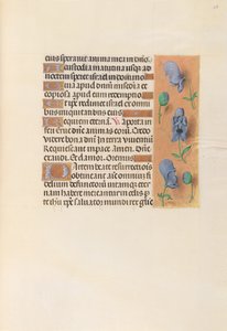 Hodiny královny Isabely Katolické, královny Španělska: Fol. 256r, c. 1500. od Master of the First Prayerbook of Maximillian