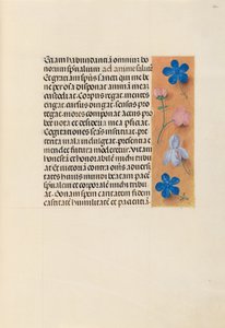 Hodiny královny Isabely Katolické, královny Španělska: Fol. 260r, c. 1500. od Master of the First Prayerbook of Maximillian