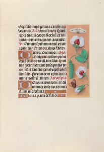 Hodiny královny Isabely Katolické, královny Španělska: Fol. 35r, c. 1500. od Master of the First Prayerbook of Maximillian