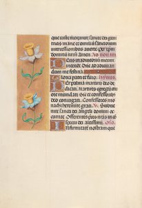 Hodiny královny Isabely Katolické, královny Španělska: Fol. 40v, c. 1500. od Master of the First Prayerbook of Maximillian