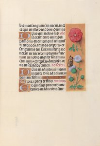 Hodiny královny Isabely Katolické, královny Španělska: Fol. 46r, c. 1500. od Master of the First Prayerbook of Maximillian