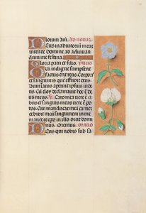Hodiny královny Isabely Katolické, královny Španělska: Fol. 47r, c. 1500. od Master of the First Prayerbook of Maximillian