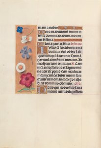 Hodiny královny Isabely Katolické, královny Španělska: Fol. 48v, c. 1500. od Master of the First Prayerbook of Maximillian