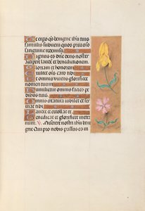Hodiny královny Isabely Katolické, královny Španělska: Fol. 56r, c. 1500. od Master of the First Prayerbook of Maximillian