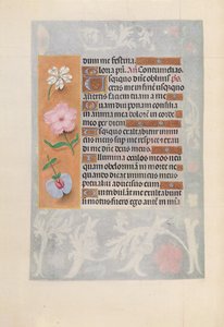 Hodiny královny Isabely Katolické, královny Španělska: Fol. 57v, c. 1500. od Master of the First Prayerbook of Maximillian