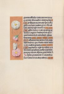 Hodiny královny Isabely Katolické, královny Španělska: Fol. 58v, c. 1500. od Master of the First Prayerbook of Maximillian