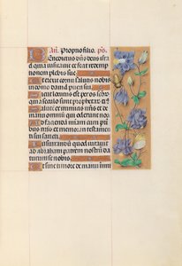 Hodiny královny Isabely Katolické, královny Španělska: Fol. 59r, c. 1500. od Master of the First Prayerbook of Maximillian