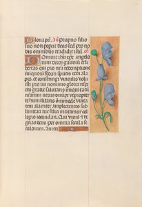 Hodiny královny Isabely Katolické, královny Španělska: Fol. 60r, c. 1500. od Master of the First Prayerbook of Maximillian