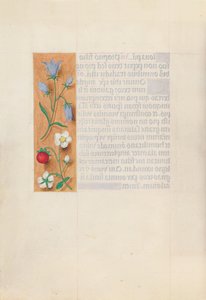 Hodiny královny Isabely Katolické, královny Španělska: Fol. 60v, c. 1500. od Master of the First Prayerbook of Maximillian