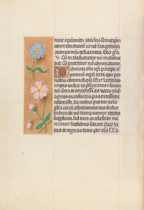 Hodiny královny Isabely Katolické, královny Španělska: Fol. 62v, c. 1500. od Master of the First Prayerbook of Maximillian