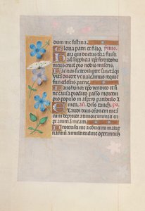 Hodiny královny Isabely Katolické, královny Španělska: Fol. 63v, c. 1500. od Master of the First Prayerbook of Maximillian