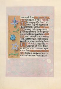 Hodiny královny Isabely Katolické, královny Španělska: Fol. 69v, c. 1500. od Master of the First Prayerbook of Maximillian