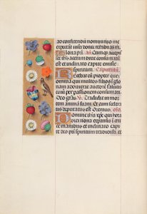 Hodiny královny Isabely Katolické, královny Španělska: Fol. 70v, c. 1500. od Master of the First Prayerbook of Maximillian
