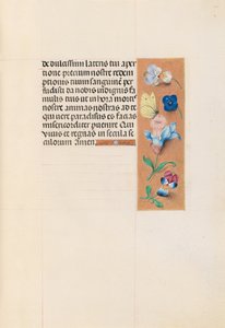 Hodiny královny Isabely Katolické, královny Španělska: Fol. 71r, c. 1500. od Master of the First Prayerbook of Maximillian