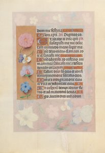 Hodiny španělské královny Isabely Katolické:  Fol. 73v od Master of the First Prayerbook of Maximillian