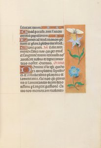 Hodiny královny Isabely Katolické, královny Španělska: Fol. 79r, c. 1500. od Master of the First Prayerbook of Maximillian