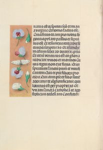 Hodiny královny Isabely Katolické, královny Španělska: Fol. 91v, c. 1500. od Master of the First Prayerbook of Maximillian