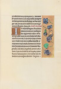 Hodiny královny Isabely Katolické, královny Španělska: Fol. 96r, c. 1500. od Master of the First Prayerbook of Maximillian