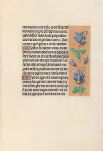 Hodiny královny Isabely Katolické, královny Španělska: Fol. 99r, c. 1500. od Master of the First Prayerbook of Maximillian